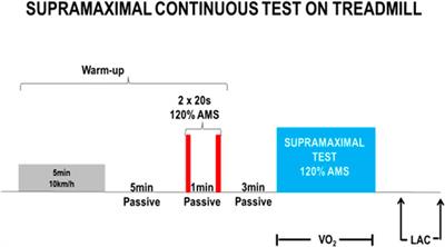 Enhancing performance: unveiling the physiological impact of submaximal and supramaximal tests on mixed martial arts athletes in the −61 kg and −66 kg weight divisions